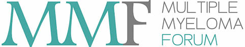 MMForum-MINI